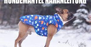 Hunde mantel hundemantel schnittmuster schnittmuster kostenlos. Hundeblog Genki Bulldog Anleitung Hundemantel Selbst Nahenhundeblog Genki Bulldog Abenteuer Einer Franzosischen Bulldogge