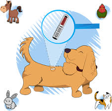 Maybe you would like to learn more about one of these? National Database Register Pet Microchips Securely Online