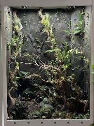 My big Vivarium built from scratch… 130 different plant species! This is  the initial picture after planting, I'm excited if the moss starts to grow  soon! : r/Vivarium