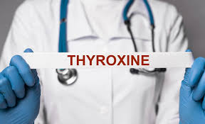 Image result for Thyroxine
