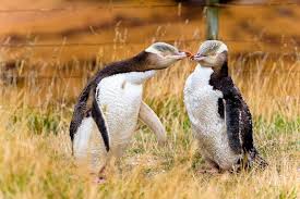 Wer nach neuseeland auswandern möchte, braucht erst mal einen überblick. 11 Reiseblogger Verraten Ihre Tipps Zu Neuseeland