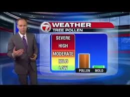 Live video from wwny 7news is available on your computer, tablet and smartphone during all local newscasts. 7news Boston Weather Forecast Youtube