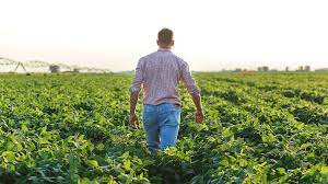 Farmers Guardian Blogs George Dunn Farming Can Provide New Entrants And Progressive Farmers With Great Opportunities