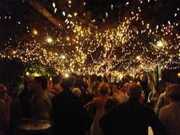 Lights Vibe Fairy Lights Fairy Tail Wedding Garden Party