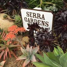 Similar homes for sale near fallbrook, ca. Serra Gardens Landscape Succulents 39 Photos 18 Reviews Nurseries Gardening 897 Quail Hill Rd Fallbrook Ca United States Phone Number Yelp