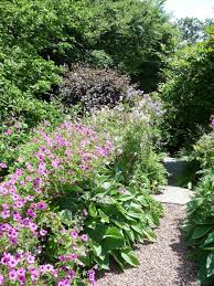 Carol Klein S Garden Devon Cottage Garden Dream Garden Garden Visits