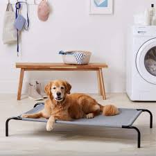 A calming dog bed serves as a perfect retreat for pets struggling with anxiousness, as long as you get the right one. 8 Best Cooling Dog Beds Of 2021 Cool Dog Beds And Mats