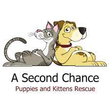 Another chance animal rescue, inc. A Second Chance Puppies And Kittens Rescue Home Facebook