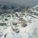 To learn more, please visit the website. Shimla Weather Forecast