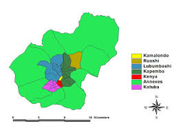 Image result for Bidens oligoflora