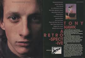 the chrome ball incident: chrome ball incident #916: bird's nest