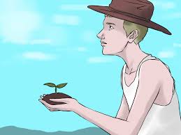 Planting and transplanting trees and shrubs. How To Understand Plant Hardiness Zones 9 Steps With Pictures