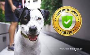 Hunden das bellen beim revierverhalten abgewöhnen. Hund Bellen Abgewohnen Ruhe In Rekordzeit Tipps Fur 2021