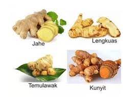 Check spelling or type a new query. Jelaskan Perbedaan Antara Vegetatif Alami Dan Buatan Pada Tumbuhan