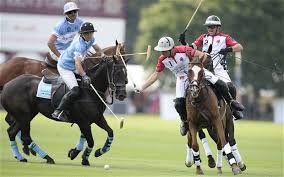 Image result for polo