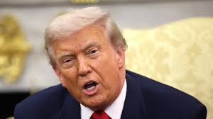 Shelly Beach: Mark Rapley punches great white to save wife Chantelle Doyle's  life