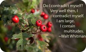 Celtic Meaning Of The Hawthorn Tree Benefits Of Berries Hawthorn Berry Hawthorn Tree