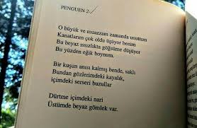 birhan keskin alintilar siir kitap