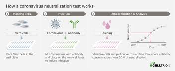 Celltrion Completes Neutralisation Test On Candidate Monoclonal Antibodies Mabs For Covid 19 Antiviral Antibody Treatment Business Wire