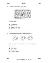 Cadangan jawapan bab 5 metabolisme dan enzim 4 (a) tindak balas enzim adalah spesifik. Biologi F4 Sbp Akhir Tahun 2008