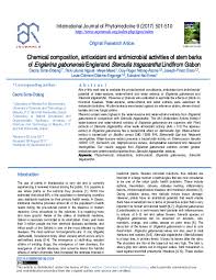 Image result for Englerina