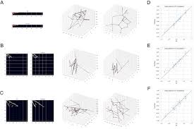 Modeling and design of heterogeneous hierarchical bioinspired spider web  structures using deep learning and additive manufacturing | PNAS