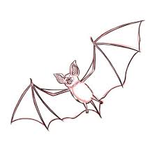 Fledermaus Malen Mit Bildern Fledermaus Zeichnen Fledermaus Fledermaus Basteln