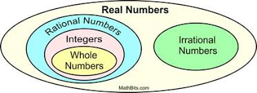 Rational And Irrational Numbers Mathbitsnotebook A1 Ccss