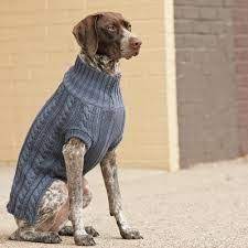 Great project for beginning to experienced knitters. Free Knitting Pattern For Large Dog Sweater Google Search Large Dog Sweaters Dog Jumper Knitting Pattern Knitting Patterns For Dogs