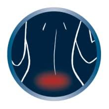 Buying guide for best heated mattress pads. Amazon Com Softheat Smart Heated Electric Mattress Pad With Safe Warm Low Voltage Technology Dobby Stripe King White Perfect Fit Home Kitchen