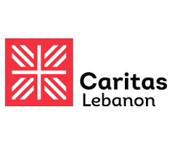 It was recognized as a public interest ngo in 1995 by presidential decree n7541. Arcenciel Engage In Development