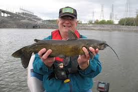 This is the size of wels that river monsters guy was looking for but only caught babies. Is This The Next World Record Catfish