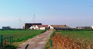 Trend Google: agricoltura