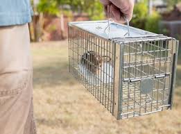 Our specialists are local, and know all of the variables that contribute to local pest activity, particularly. Commercial Exterminators Harrisburg Pa Pest X Pro Llc