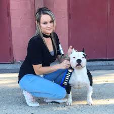 Check spelling or type a new query. Royalty Bully Kennelz American Bully Breeder Indiana