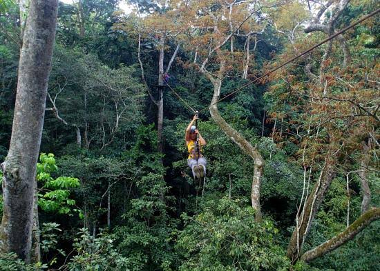 Mabira Forest | Car Hire| Explore Uganda | 4x4 Uganda