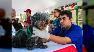 We did not find results for: Dia Del Medico Veterinario Hombres Y Mujeres Que Laboran Con