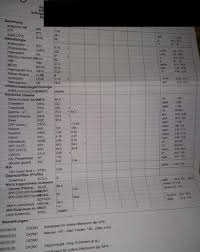 Wie Beurteilt Ihr Meine Blutwerte Und Wieso Sind Standig Meine Leukozyten Erhoht Schule Gesundheit Und Medizin Blut