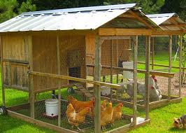 If you have backyard chickens and are interested in participating in the study, please email thilini.ke@flinders.edu.au for more information. Chicken Coop Ideas Designs And Layouts For Your Backyard Chickens Chickens Backyard Backyard Chicken Coops Chicken Coop Plans