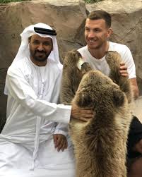 Check spelling or type a new query. Edin Dzeko 9 Fans On Twitter Edin Dzeko Visited The Saif Ahmed Belhasa Khawaneej Farm In Dubai Eddzeko Family Dubai