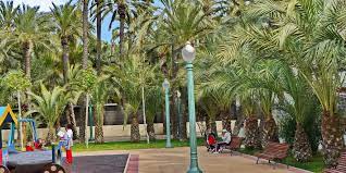 We have reviews of the best places to see in elche. Elx Elche Sehenswurdigkeiten Bilder Unterkunfte Reisen Nach Spanien