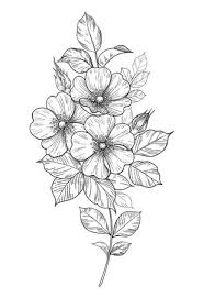 Among vines, you can go for the ivy, grapevine, kudzu, and the holly. Hand Drawn Dog Rose Branch With Flowers And Leaves Isolated On White Vector Line Art Monochrome Elegant Floral Composition In Vintage Style Tattoo Design Coloring Page Wedding Decoration Tasmeemme Com