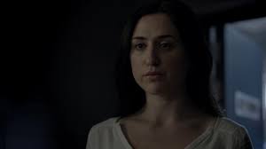 The Fall (TV Series 2013–2016)