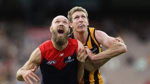 Watch the hawthorn hawks vs. Zui Duipw8xgjm