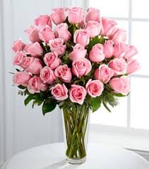 Resultado de imagen de rosa