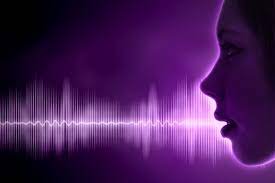 Vitesse du sonla vitesse de propagation de l'onde ultrasonore. Quelle Est La Vitesse Du Son Et De L Electricite Quebec Science