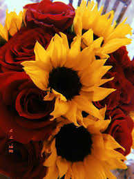 Pin By Candelaria On Fotografias Y Frases Sunflowers And Roses Sunflowers Background Beautiful Flowers