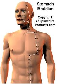 stomach meridian pathway and acupuncture point locations