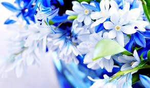 Gambar bunga untuk undangan gambar bunga bingkai undangan bliblinews kaligrafi gambar. Gambar Wallpaper Bunga Natural Flowers3d 1451x853 Wallpaper Teahub Io