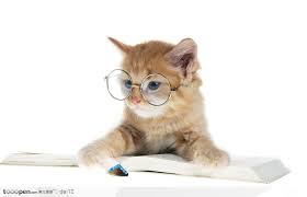 「可愛貓咪」的圖片搜尋結果